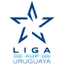 Liga AUF Uruguaya - Play Offs